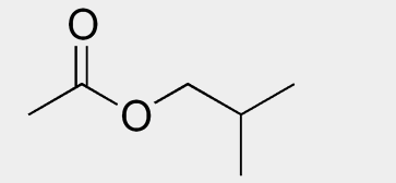 > </div>
<div class=